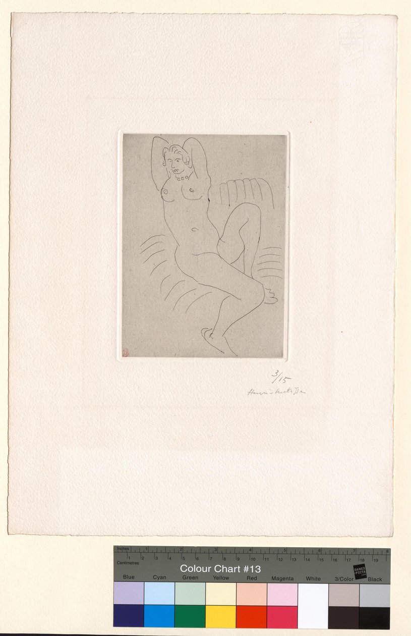 Nagi w fotelu w paski autorstwa Henri Matisse