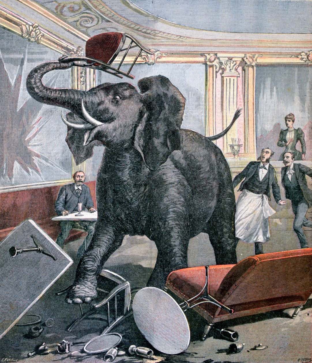 Słoń w Kawiarni Prekatalońskiej, Tuluza, Francja, 1891 autorstwa Henri Meyer