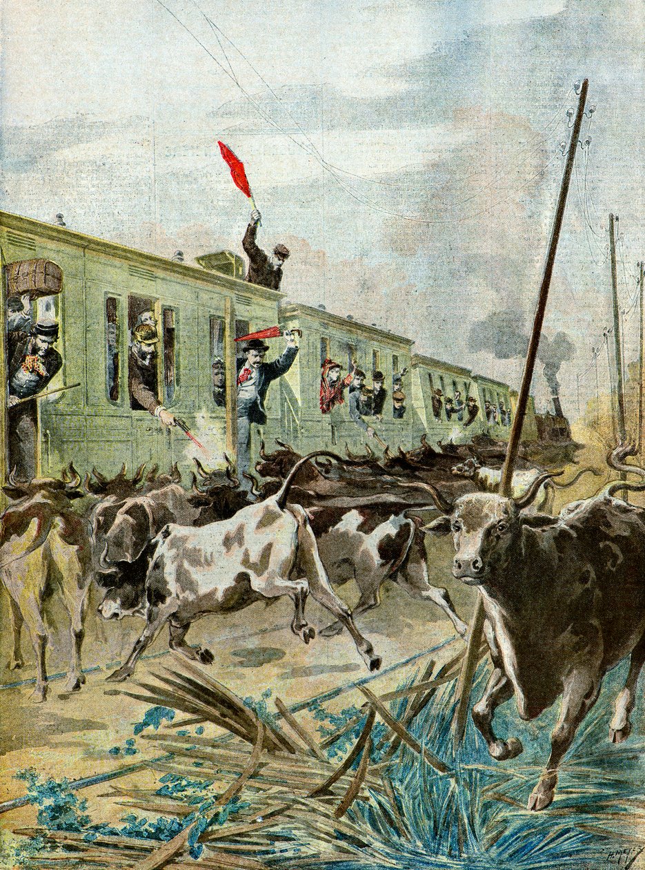 Pociąg zaatakowany przez stado byków, 1895 r. (ilustracja) autorstwa Henri Meyer