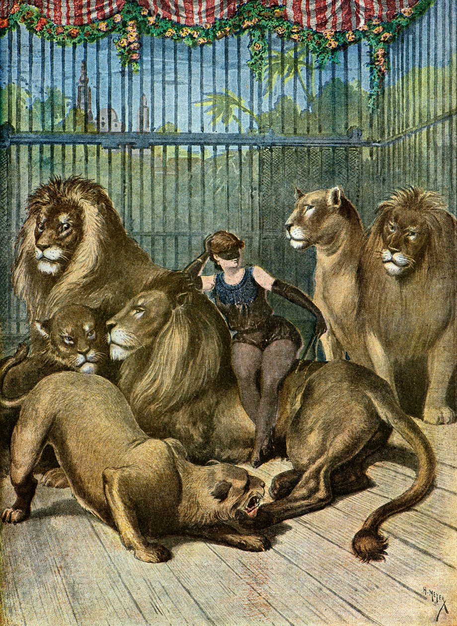 Portret hrabiny X*** i jej lwów, 1895 (ilustracja) autorstwa Henri Meyer