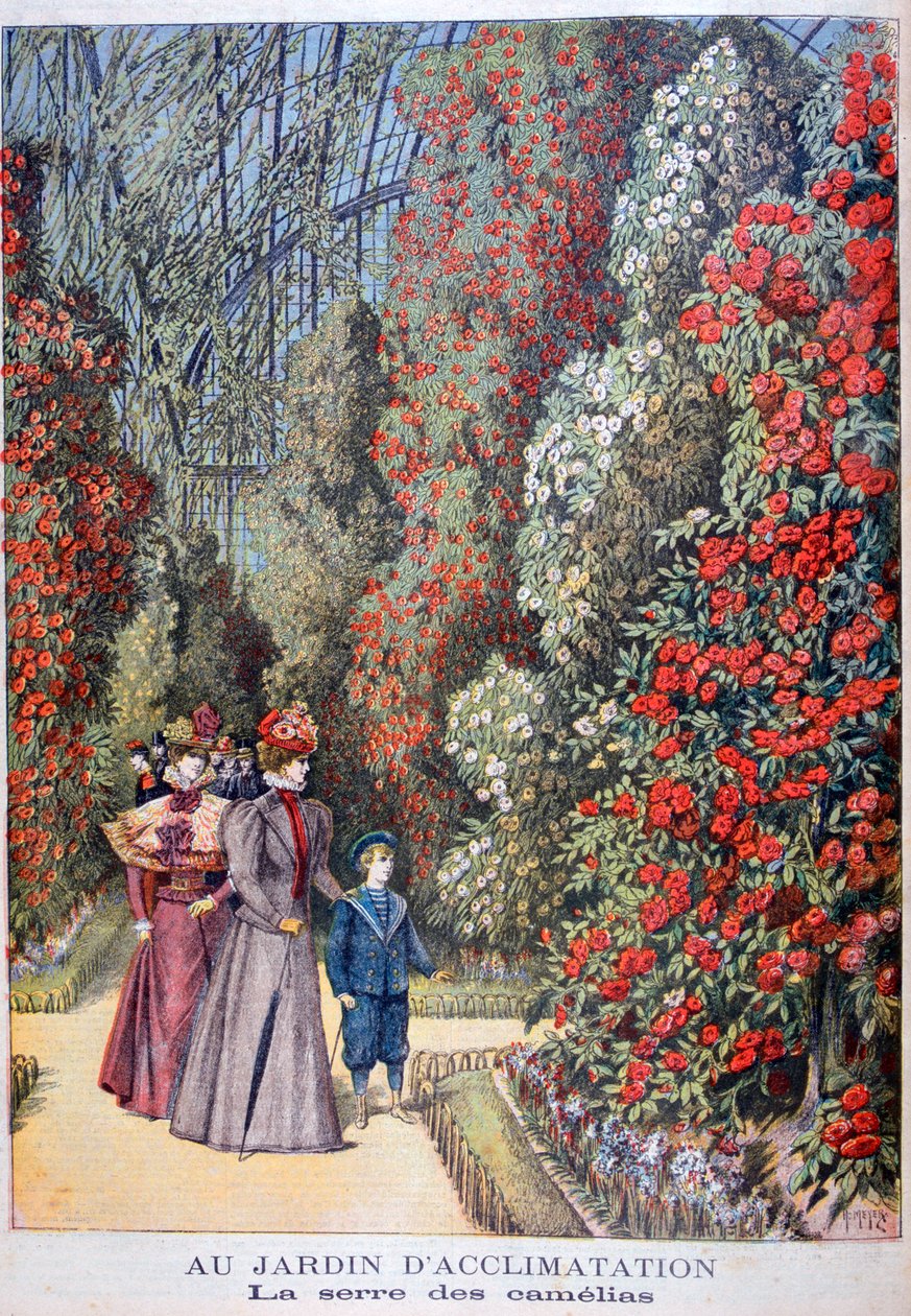 Szklarnia kamelii, ogrody zoologiczne, Paryż, 1897 autorstwa Henri Meyer