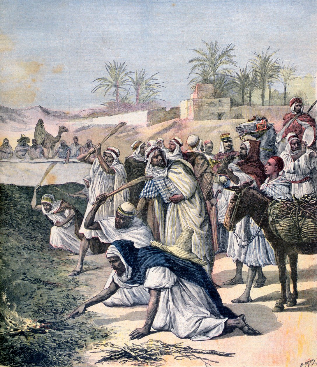 Plaga szarańczy, Algieria, 1891 autorstwa Henri Meyer