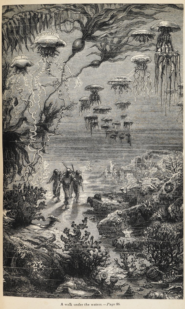 Ilustracja do „20 000 lig podmorskich” autorstwa Juliusza Verne’a autorstwa Henri Theophile Hildibrand