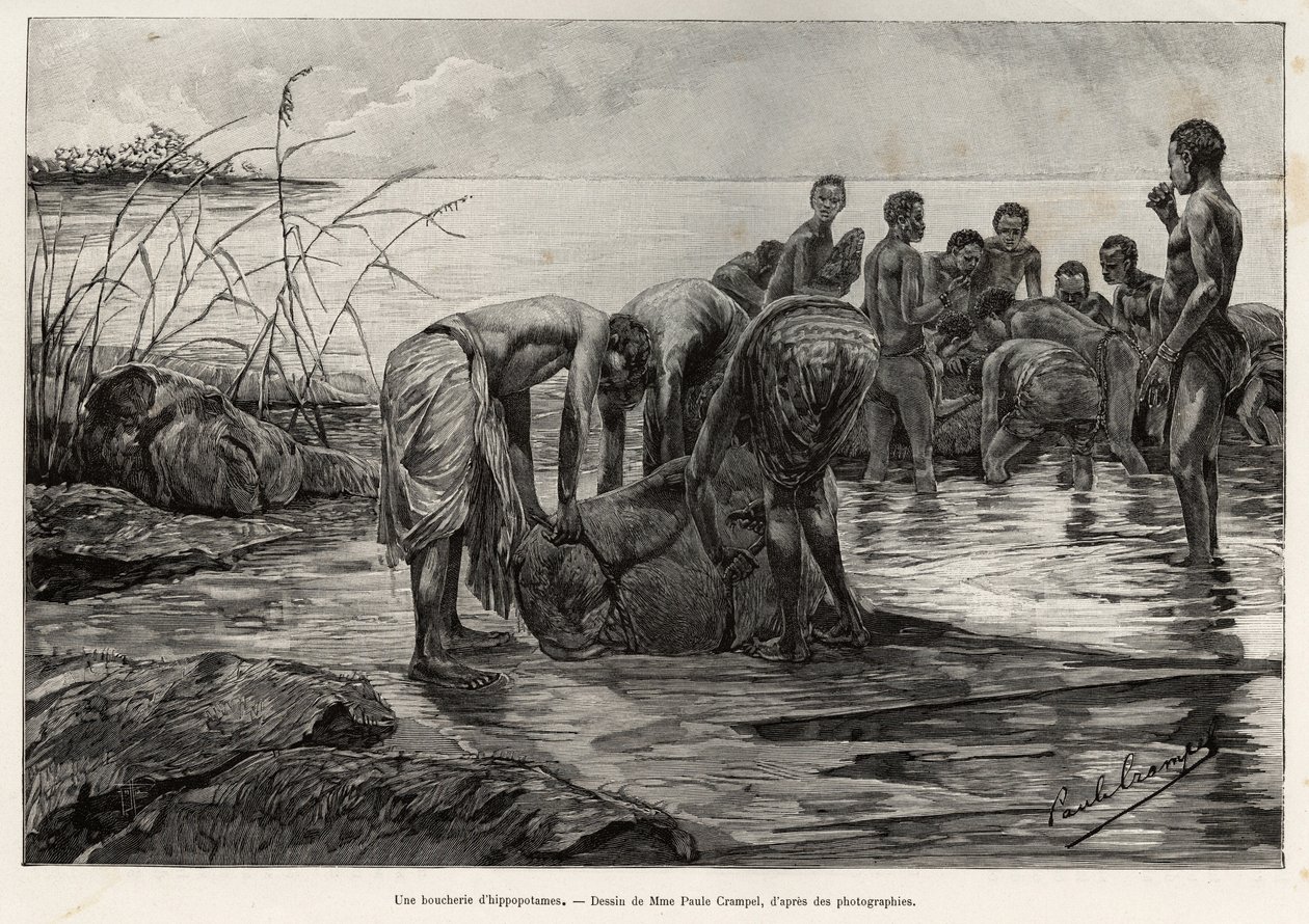 Hipopotamowy sklep mięsny nad brzegiem rzeki w Afryce Środkowej. Grawer Henri Thiriata ilustrujący historię „La mission Crampel” Alberta Nebouta (1862-1939), w 1890, w Le tour du Monde 1892, reżyseria: Edouard Charton (1807-1891), Hachette, Pa autorstwa Henri Thiriat