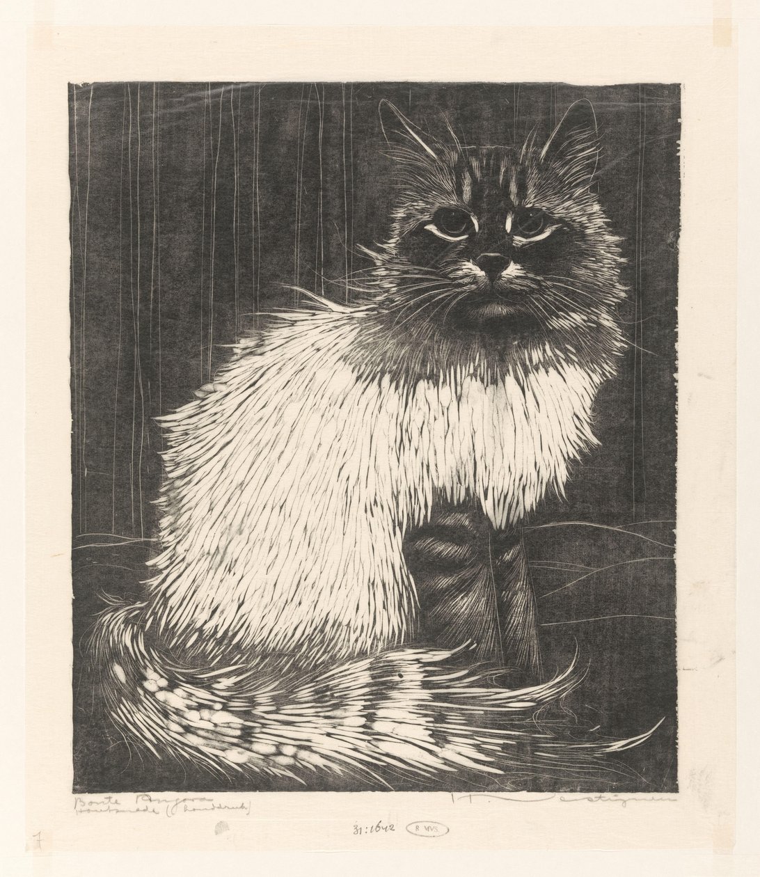 Bonte Angora (oryginalny tytuł na obiekcie) autorstwa Henri Verstijnen (signed by artist)