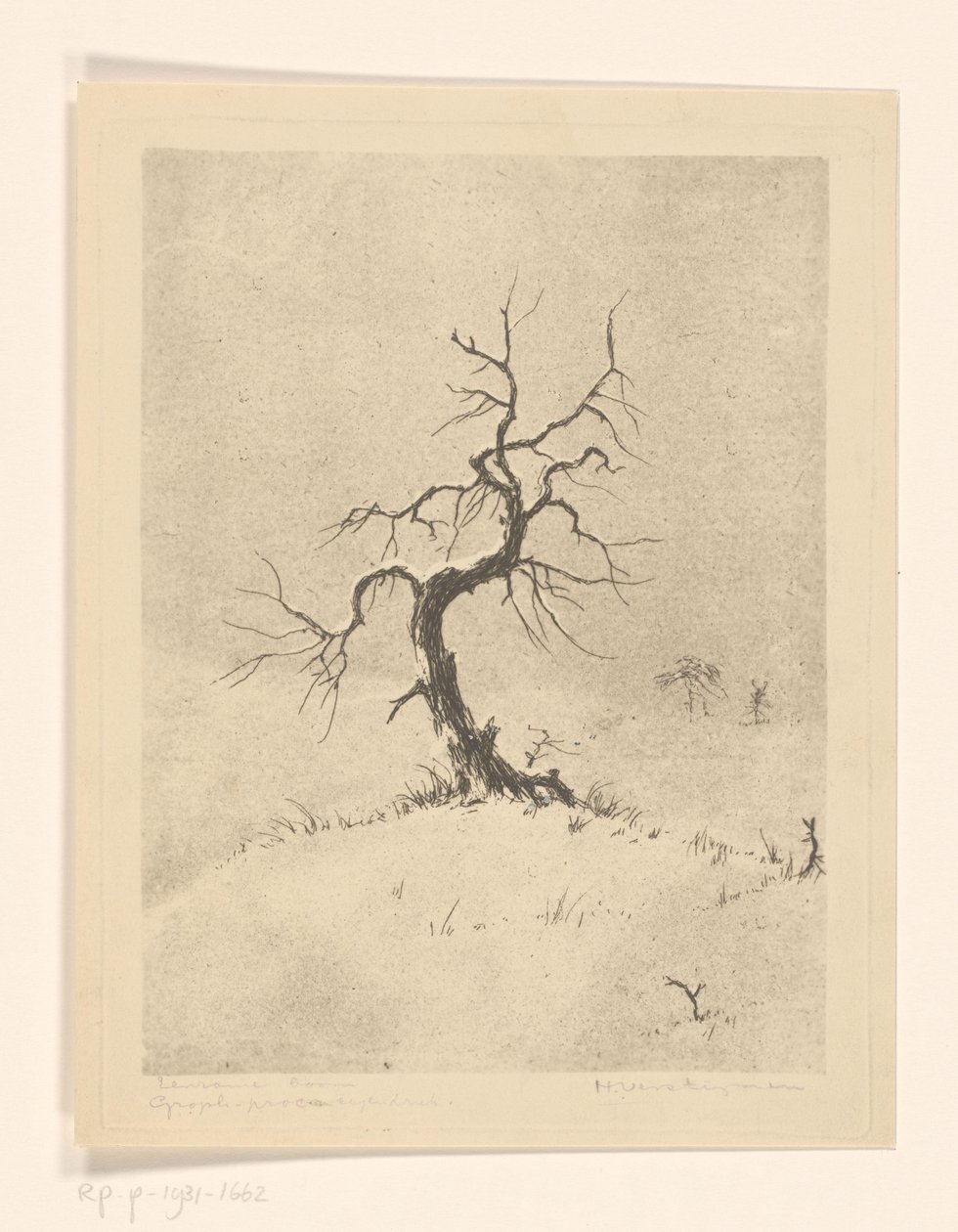 Lonely Tree (oryginalny tytuł na obiekcie) autorstwa Henri Verstijnen (signed by artist)
