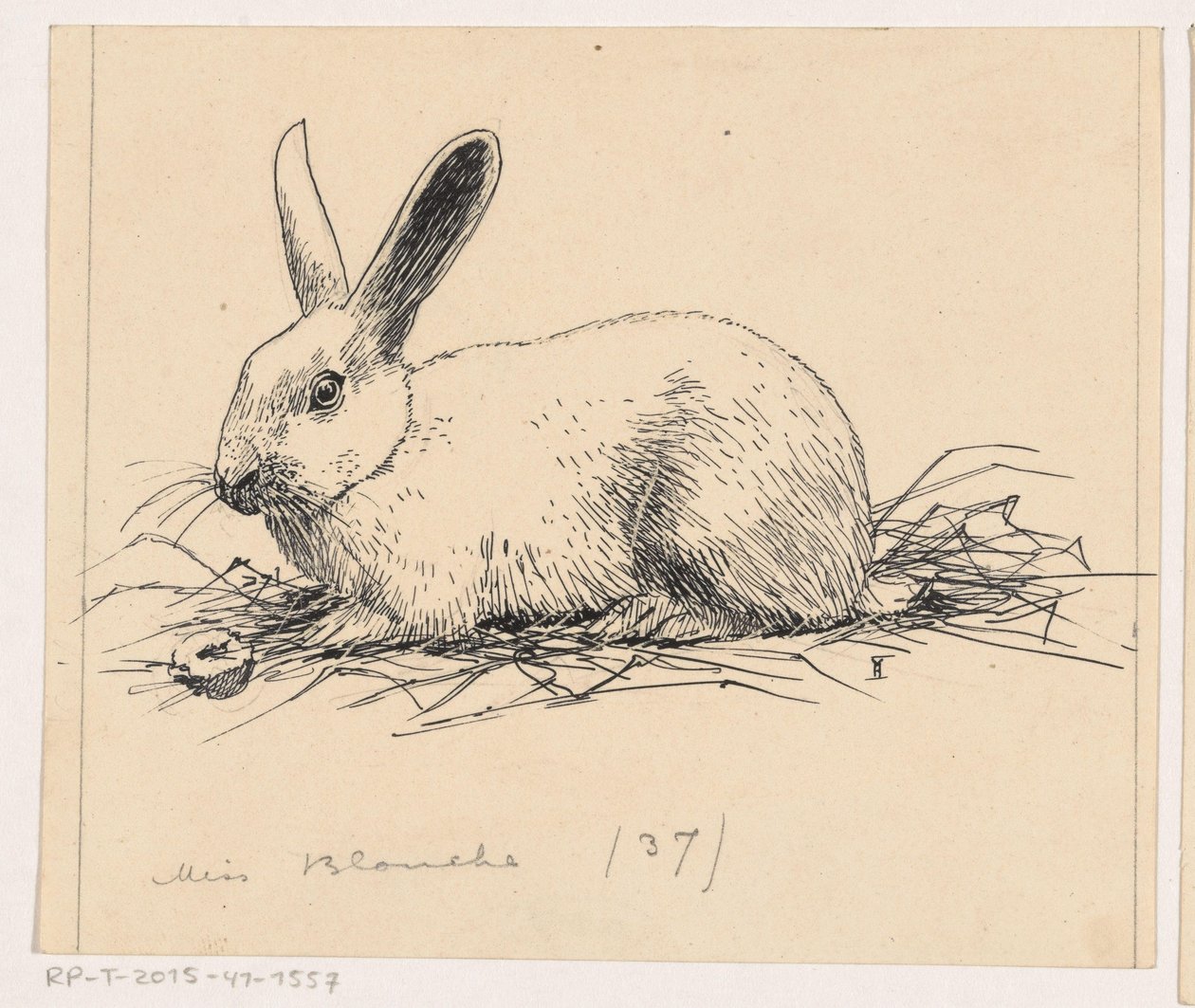 Królik autorstwa Henri Verstijnen (signed by artist)