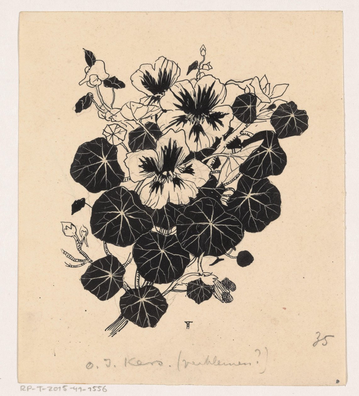 Wiśnia Wschodnioindyjska autorstwa Henri Verstijnen (signed by artist)