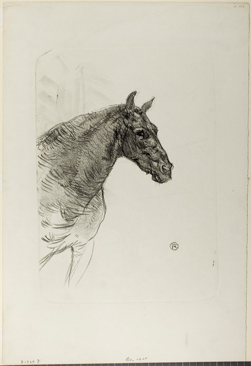 Philibert kucyk autorstwa Henri de Toulouse-Lautrec