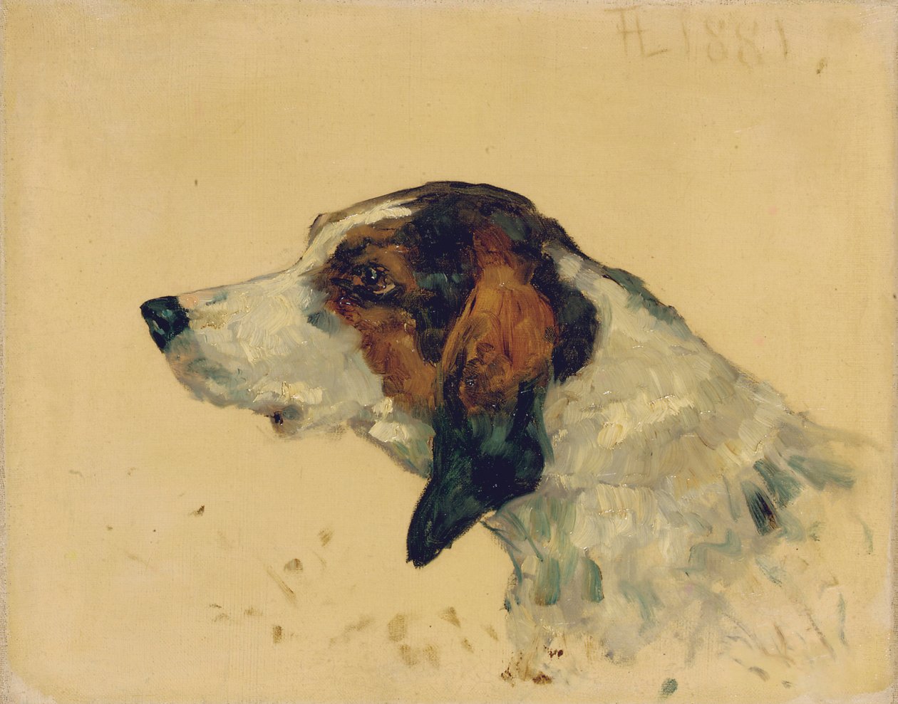 Pies myśliwski, 1881 autorstwa Henri de Toulouse Lautrec