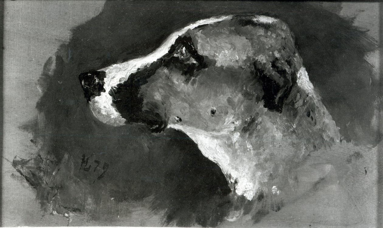 Głowa psa z krótkimi uszami, 1879 autorstwa Henri de Toulouse Lautrec