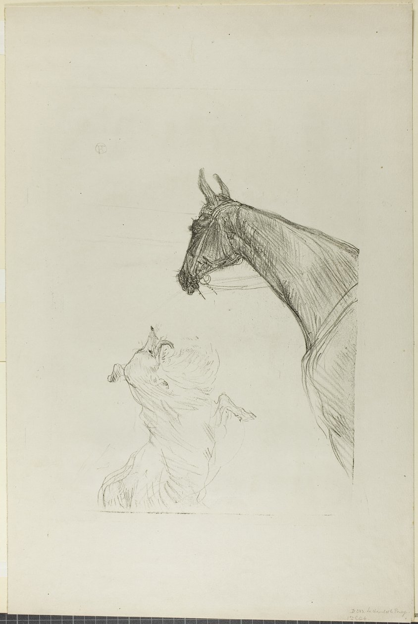 Koń i Collie autorstwa Henri de Toulouse Lautrec