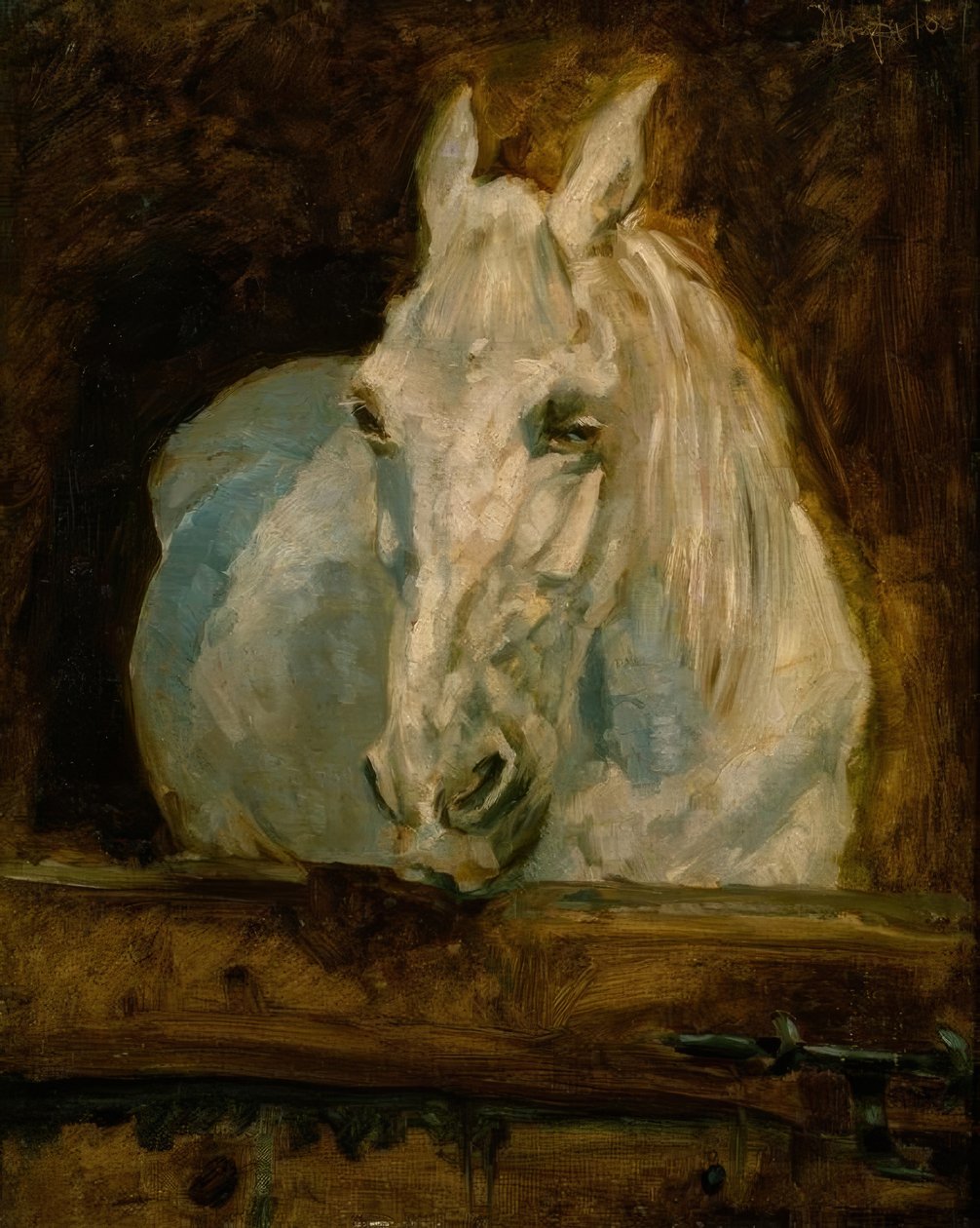 Gazela Białego Konia autorstwa Henri de Toulouse Lautrec