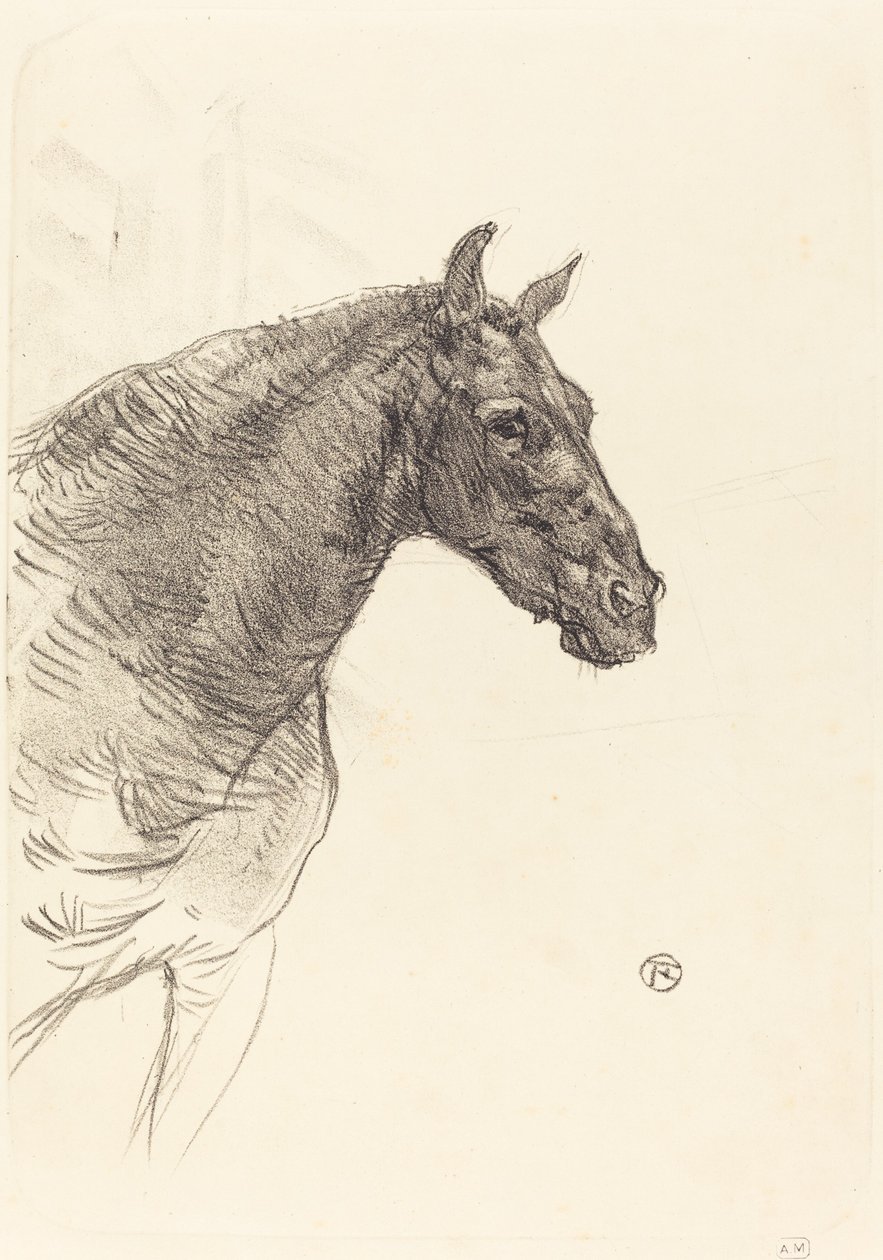 Stary koń autorstwa Henri de Toulouse Lautrec