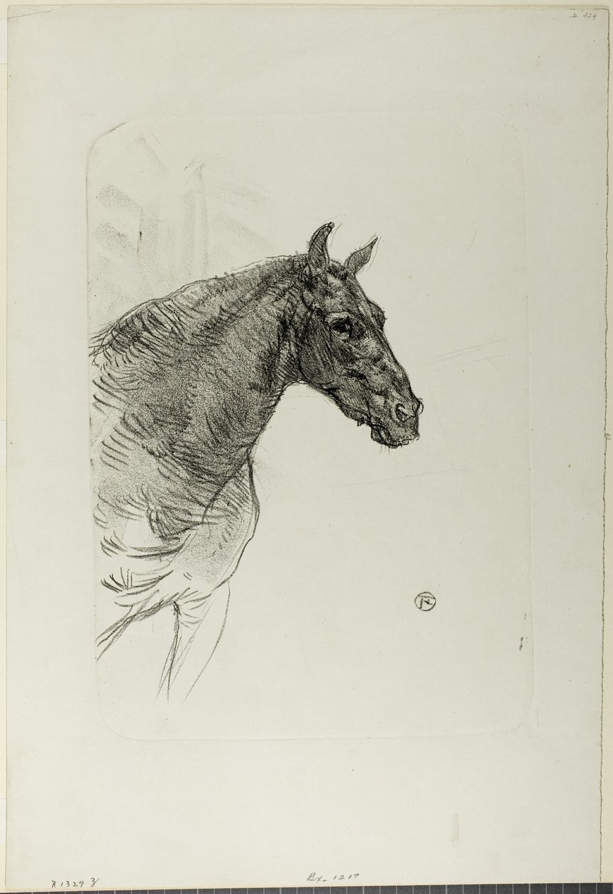 Philibert kucyk autorstwa Henri de Toulouse Lautrec