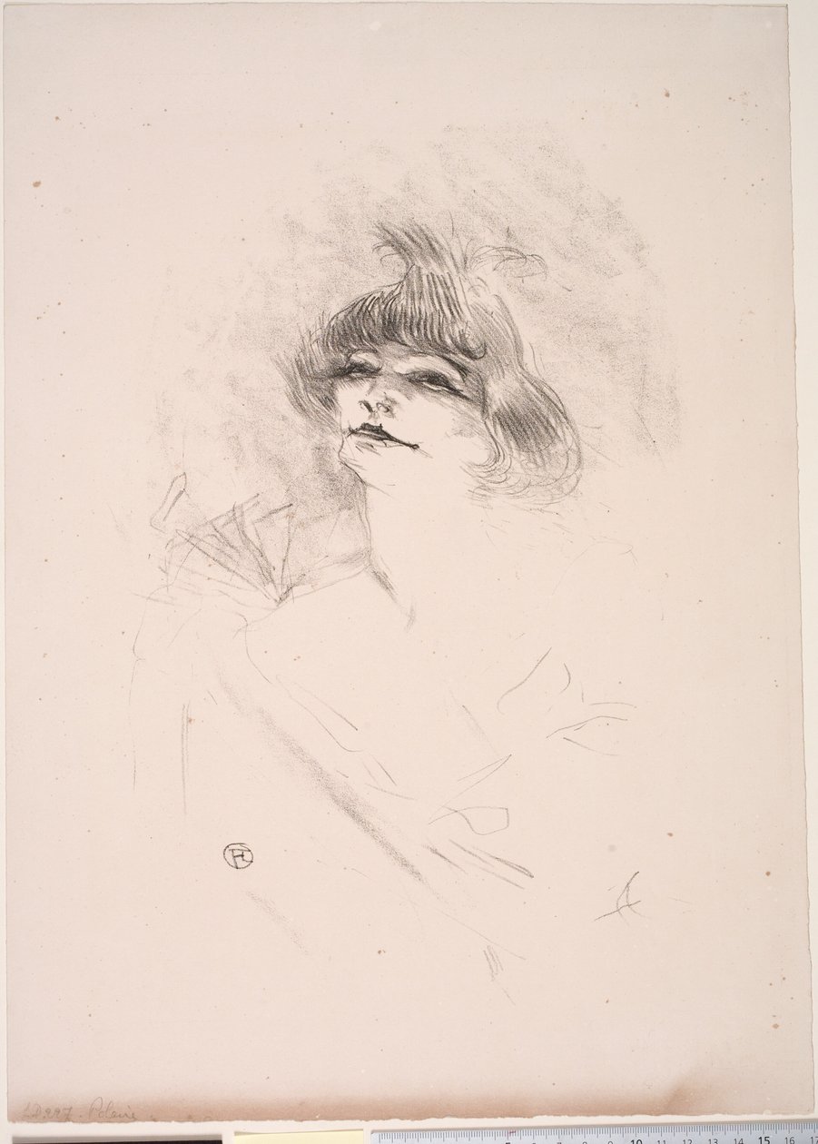 Polarny autorstwa Henri de Toulouse Lautrec