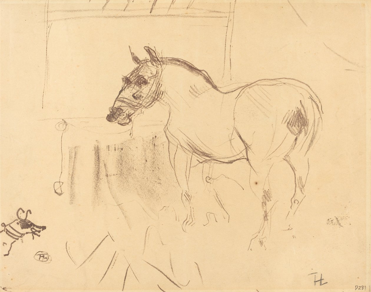 Mały kucyk z Calmese autorstwa Henri de Toulouse Lautrec