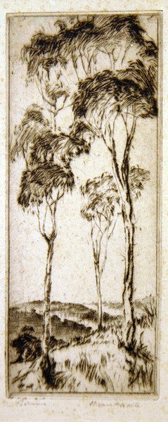 Drzewa dzięciołowe (akwaforta) autorstwa Henri van Raalte
