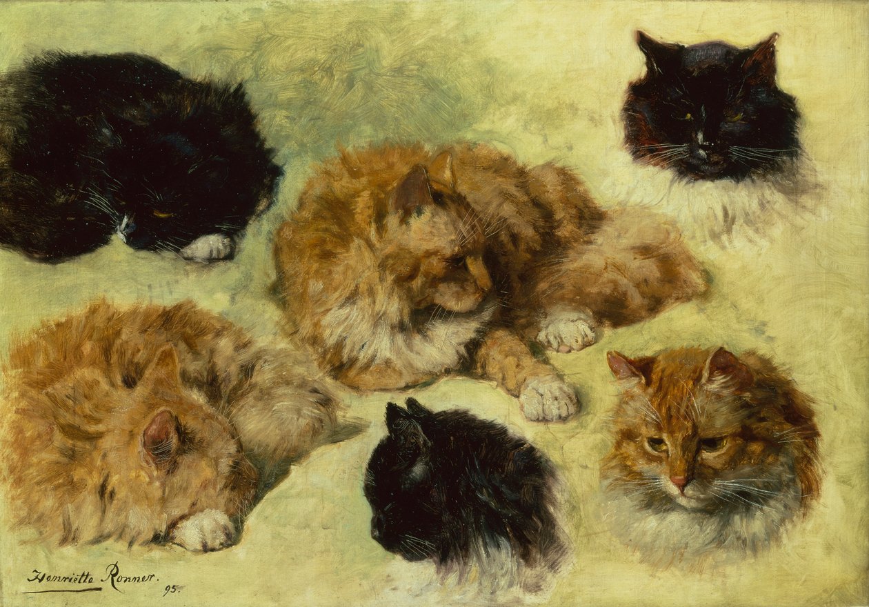 Badania kotów autorstwa Henriëtte Ronner Knip