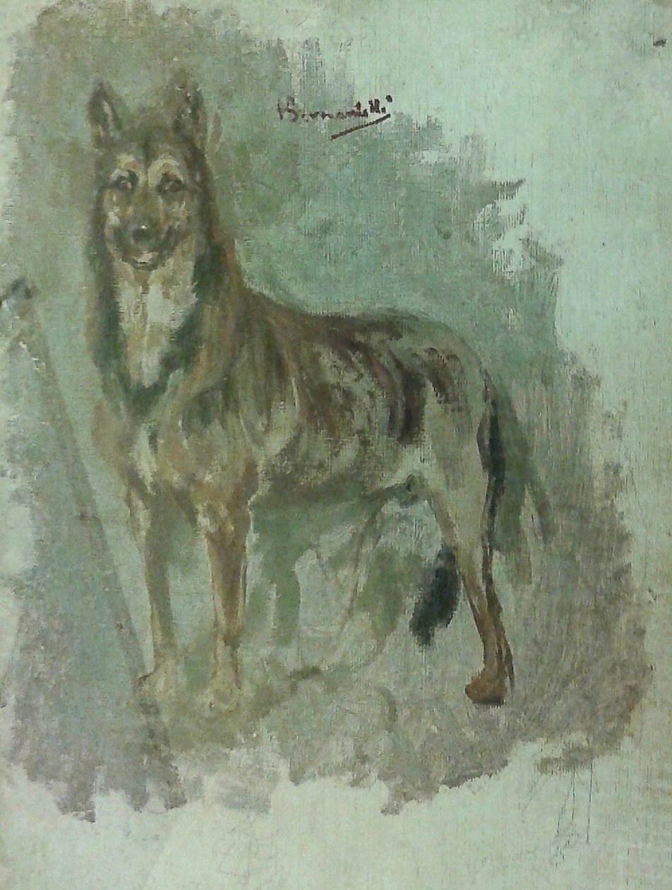 Badanie zwierzęcia [Pies] autorstwa Henrique Bernardelli