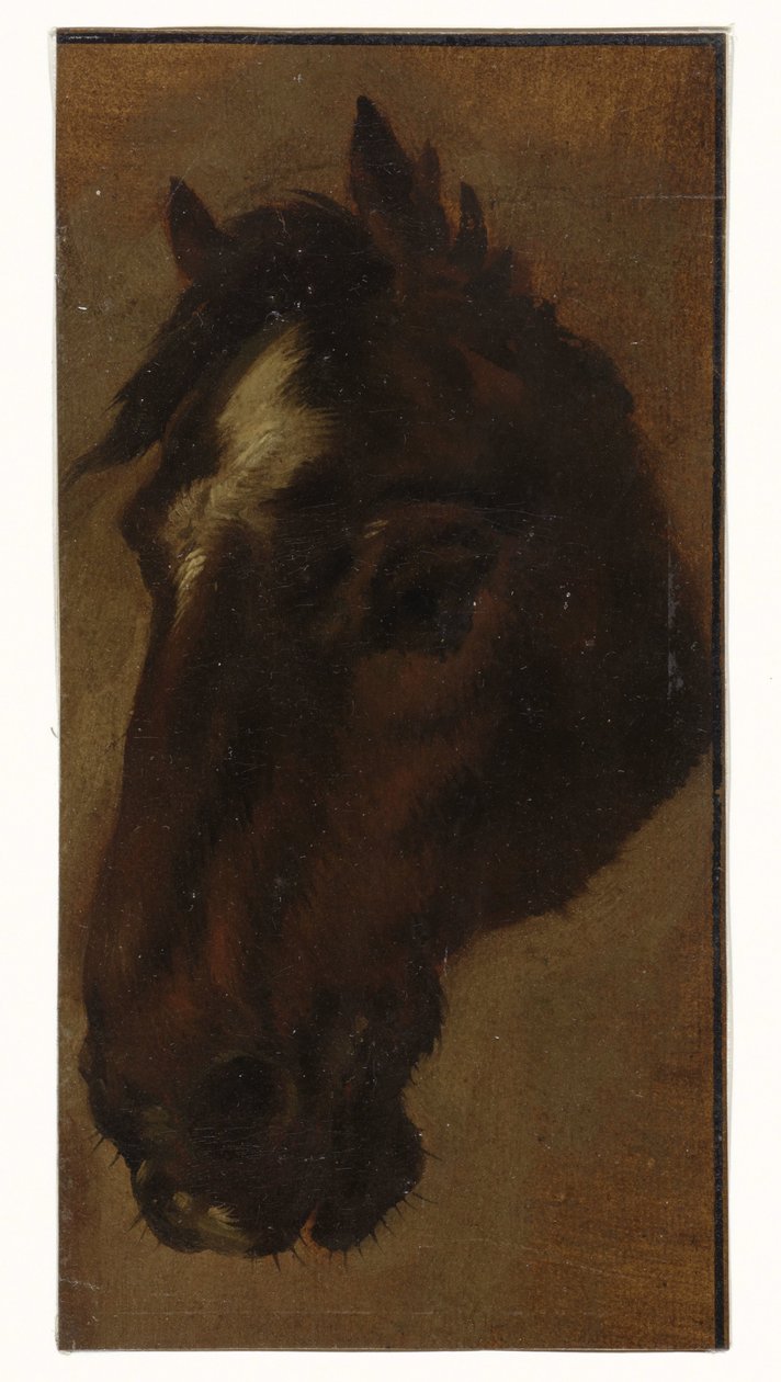 głowa konia autorstwa Henriëtte Ronner