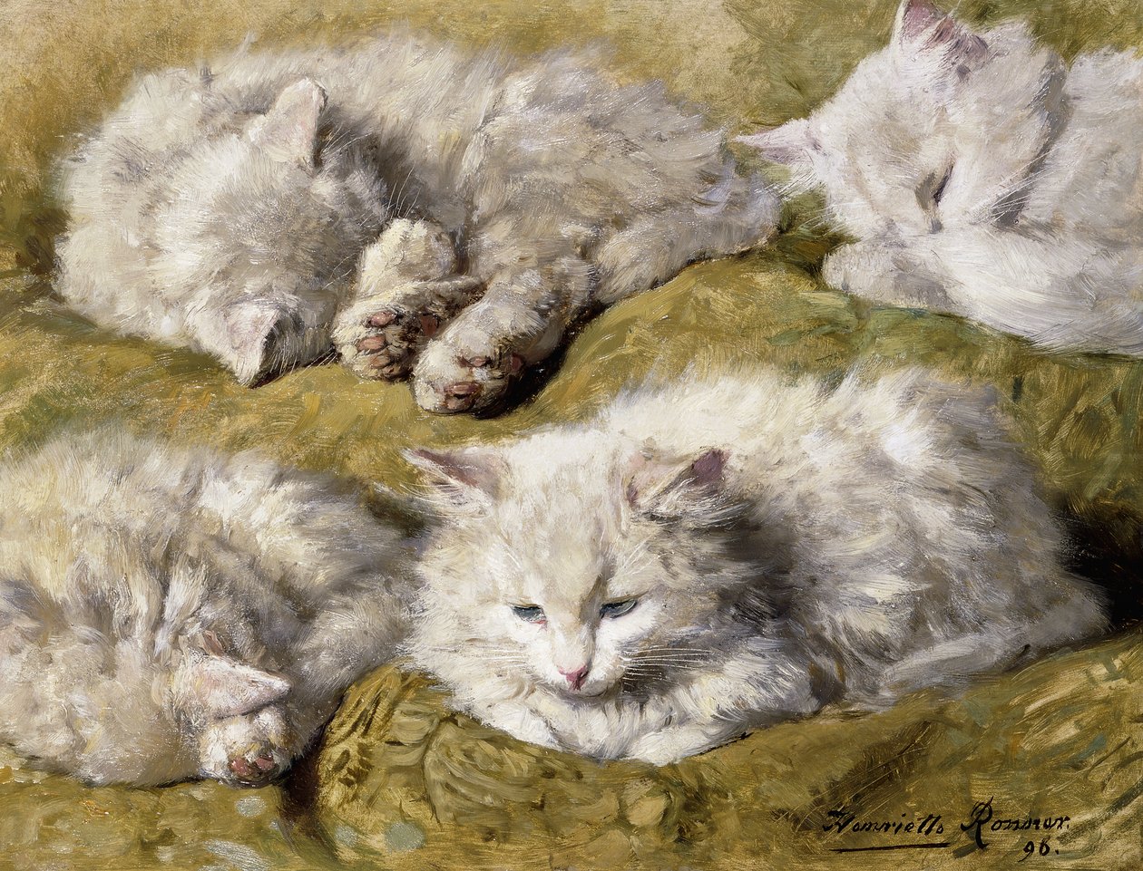 Badania nad długowłosym białym kotem, 1896 autorstwa Henriëtte Ronner Knip