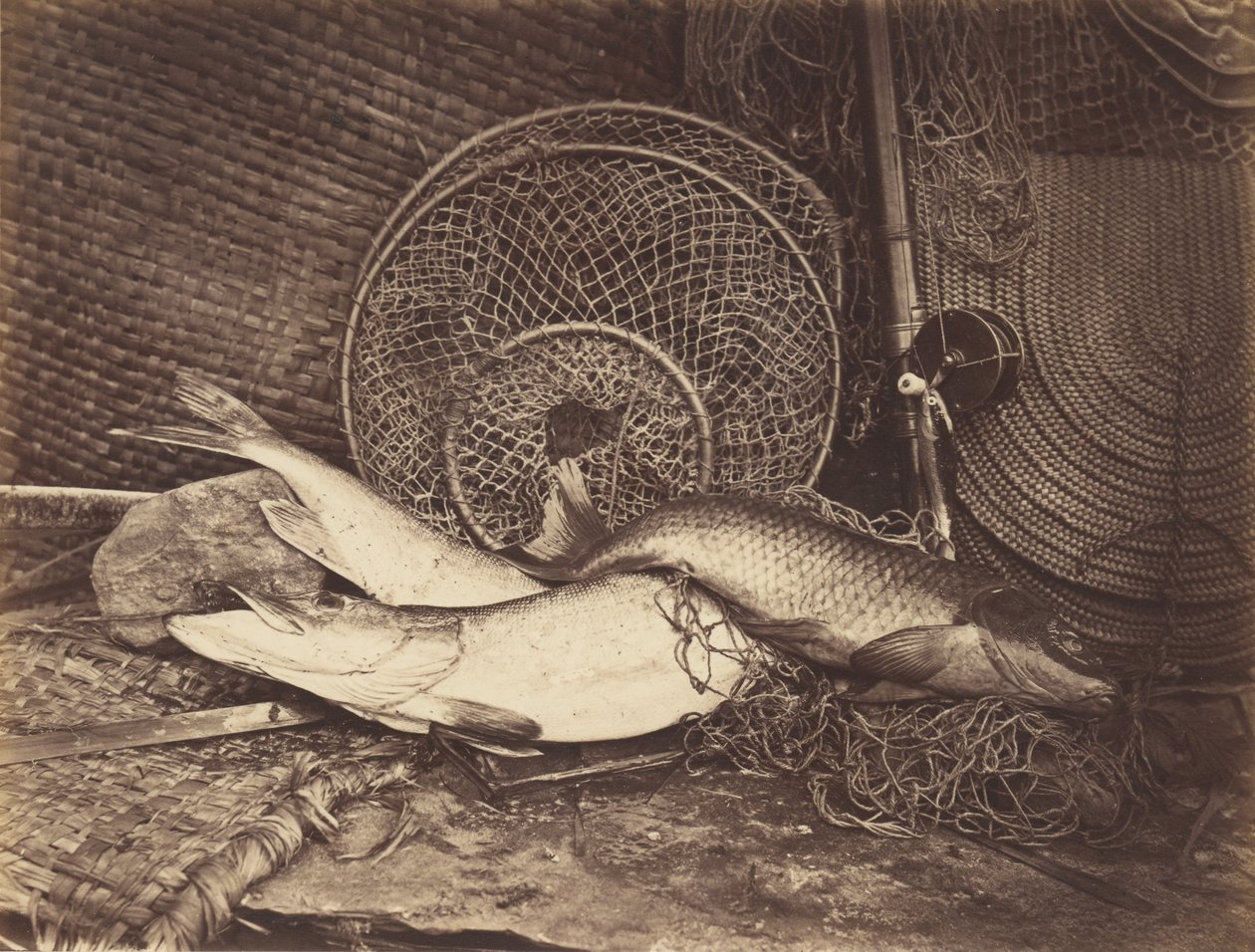 Martwa natura z karpiem i szczupakiem autorstwa Henry Bailey