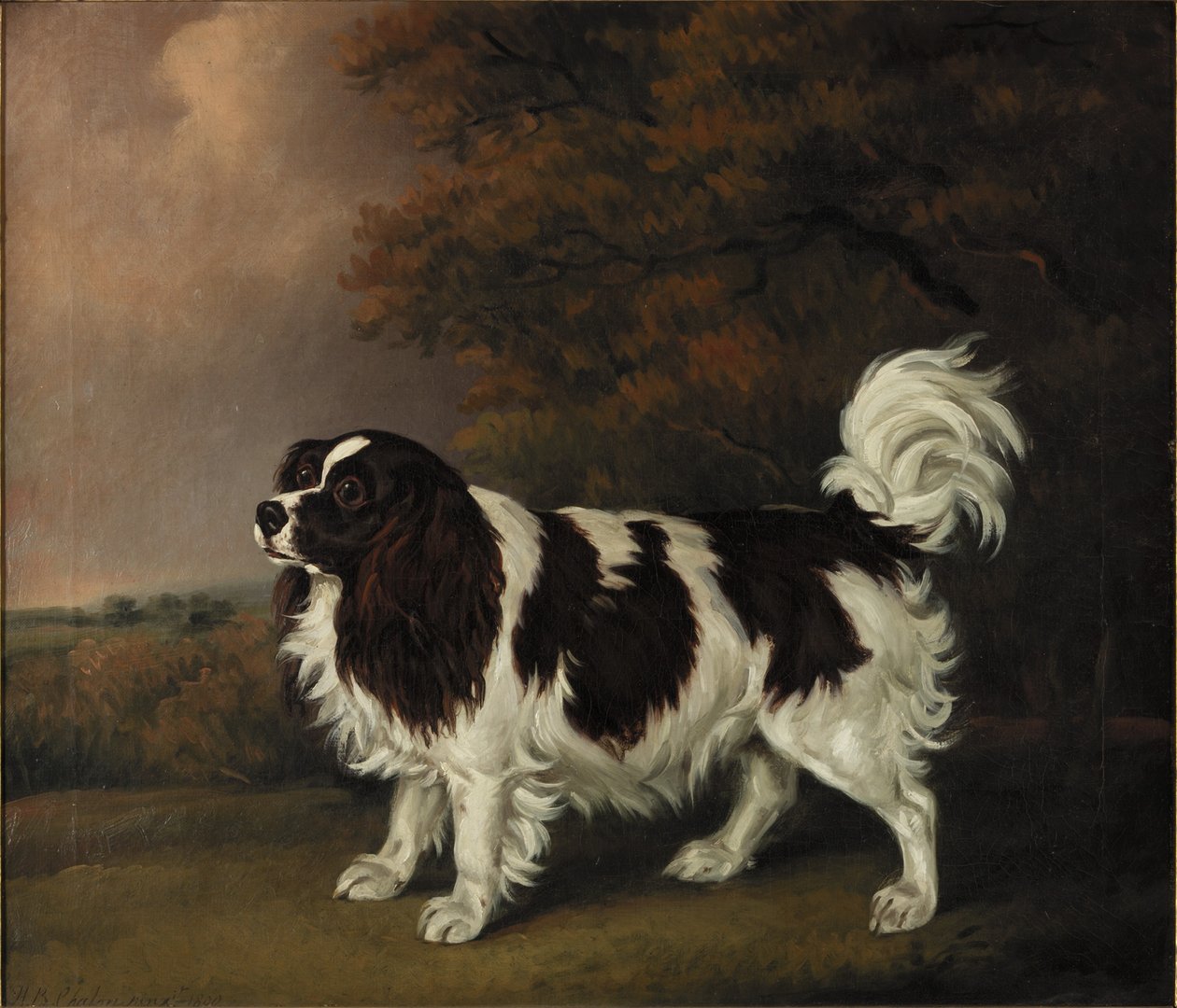 Studium King Charles Spaniela autorstwa Henry Bernard Chalon