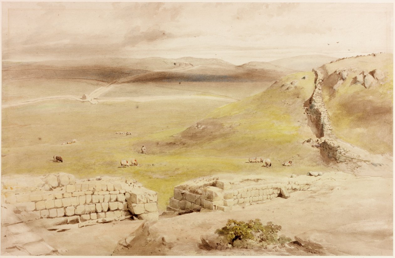 Cawfields (kolor nadwozia) autorstwa Henry Burdon Richardson