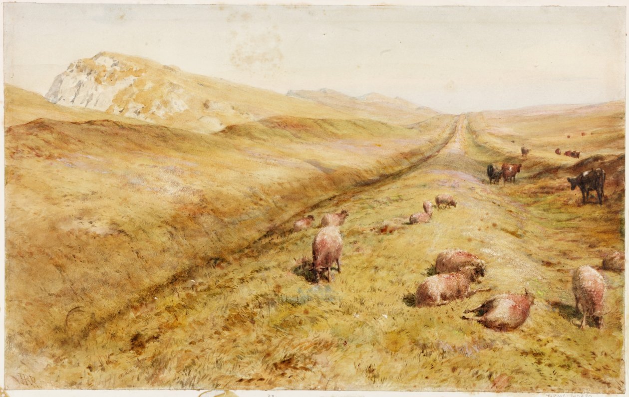 Cawfields (kolor nadwozia) autorstwa Henry Burdon Richardson