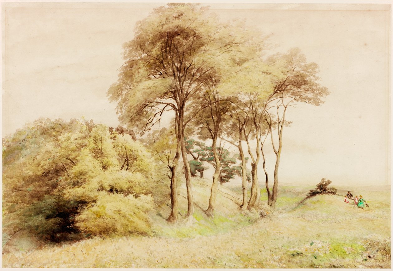 Drumburgh (kolor nadwozia) autorstwa Henry Burdon Richardson