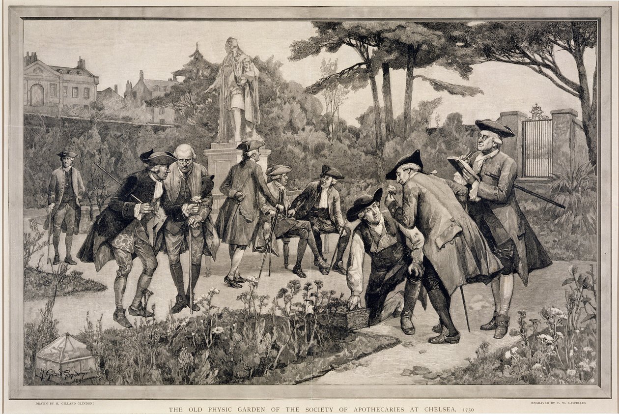 The Old Physic Garden of the Society of Apothecaries w Chelsea, 1750, grawerowane przez Thomasa W. Lascellesa (fl.c.1885), 1890 autorstwa Henry Gillard Glindoni