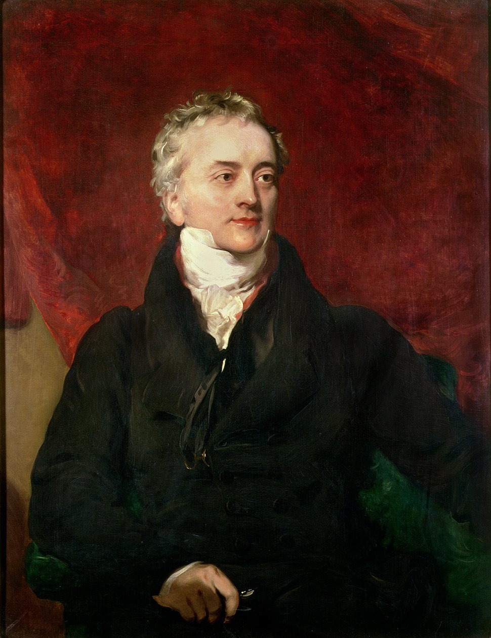 Sir Thomas Young MD, FRS autorstwa Henry Perronet Briggs