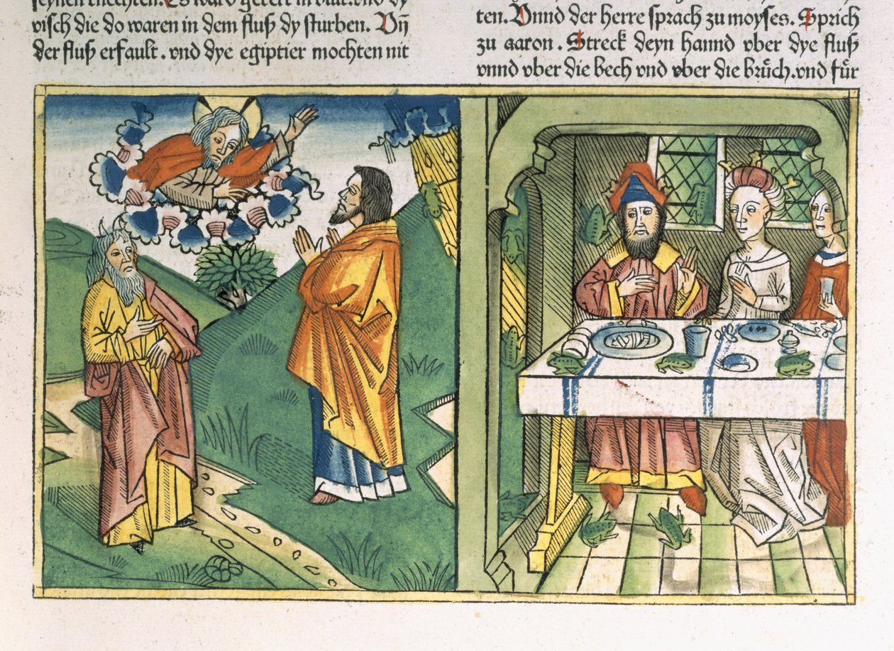 Księga Wyjścia 8 1-15 Siedem plag egipskich: Mojżesz i plaga żab, z "Biblii Norymberskiej (Biblia Sacra Germanaica)" (drzeworyt kolorowany) autorstwa Henry Room