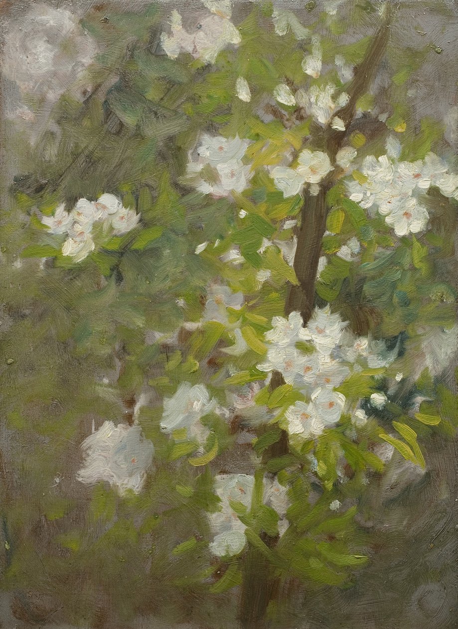 Biały kwiat autorstwa Henry Scott Tuke