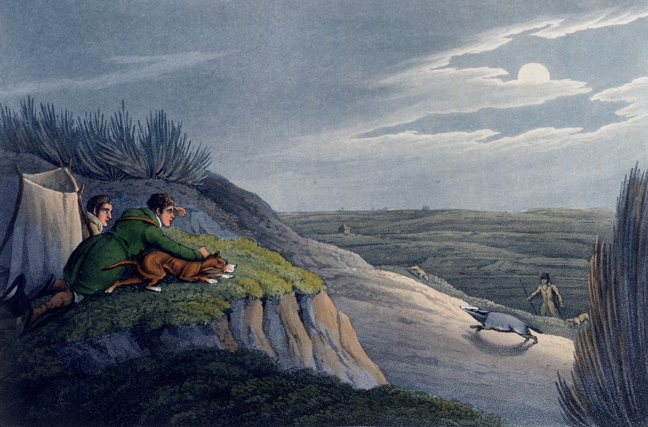 Łowienie borsuka, 1820 autorstwa Henry Thomas Alken