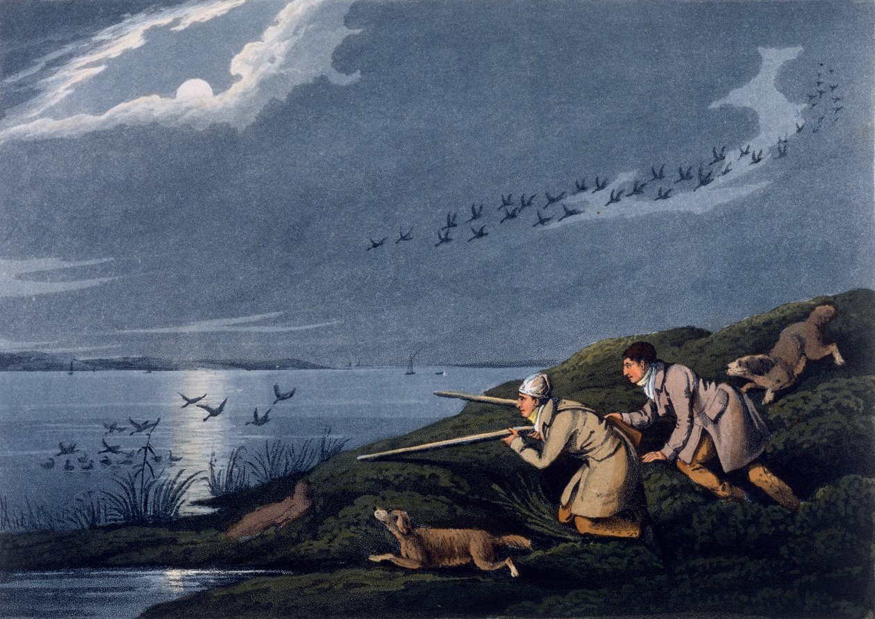 Strzelanie do dzikiego ptactwa, 1820 autorstwa Henry Thomas Alken