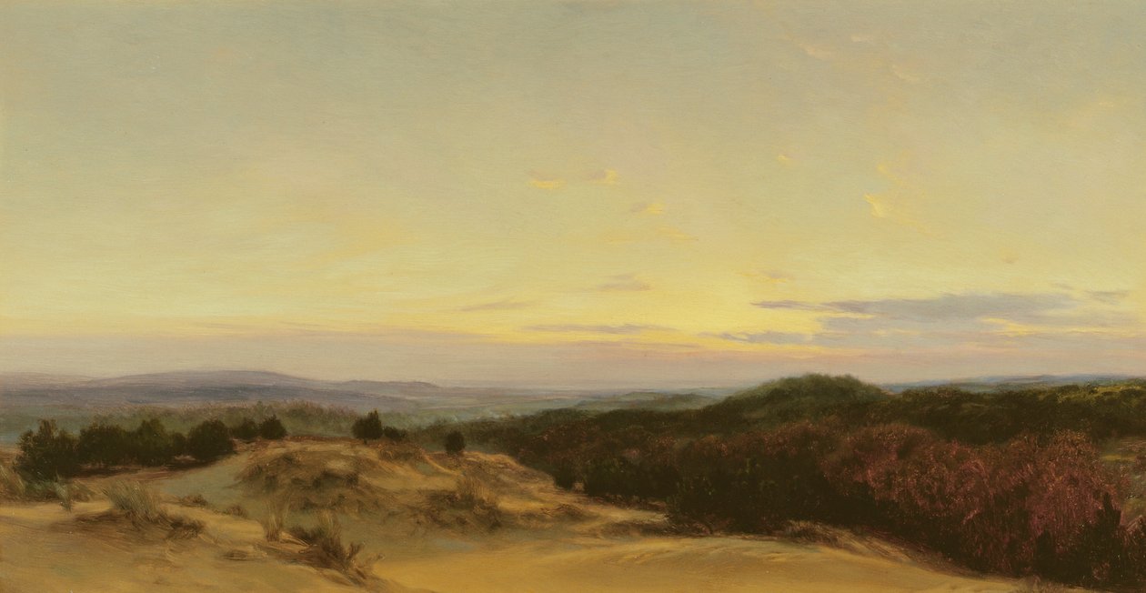 Zachód słońca nad krajobrazem autorstwa Henry William Banks Davis
