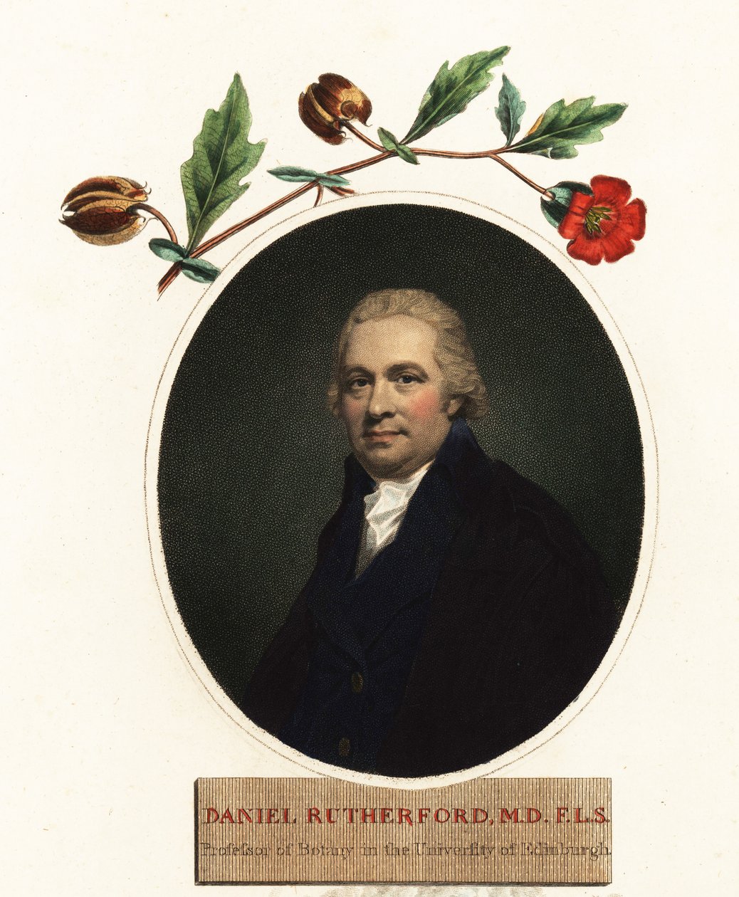 Portret Daniela Rutherforda, botanika.1805 (grafika) autorstwa Henry (after) Raeburn