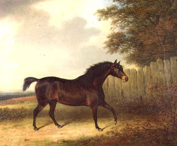 Ciemnogniaty ogier w krajobrazie autorstwa Henry Bernard Chalon