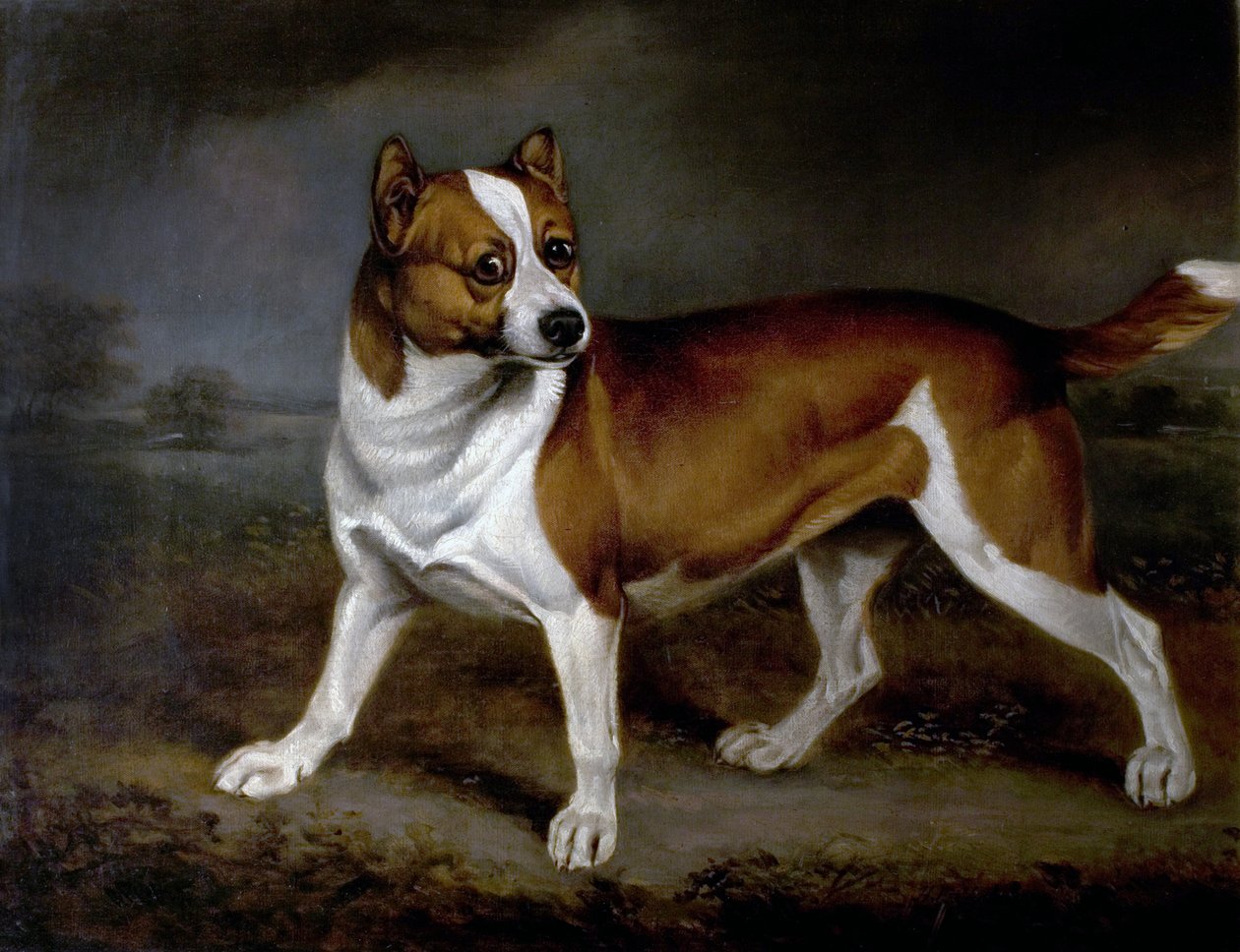 Pokrzywa, 1812 autorstwa Henry Bernard Chalon