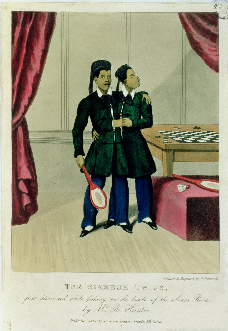 Bliźnięta syjamskie, po raz pierwszy odkryte podczas łowienia ryb na brzegach rzeki Siam przez pana R. Huntera, 1829 r. autorstwa Henry Berthoud