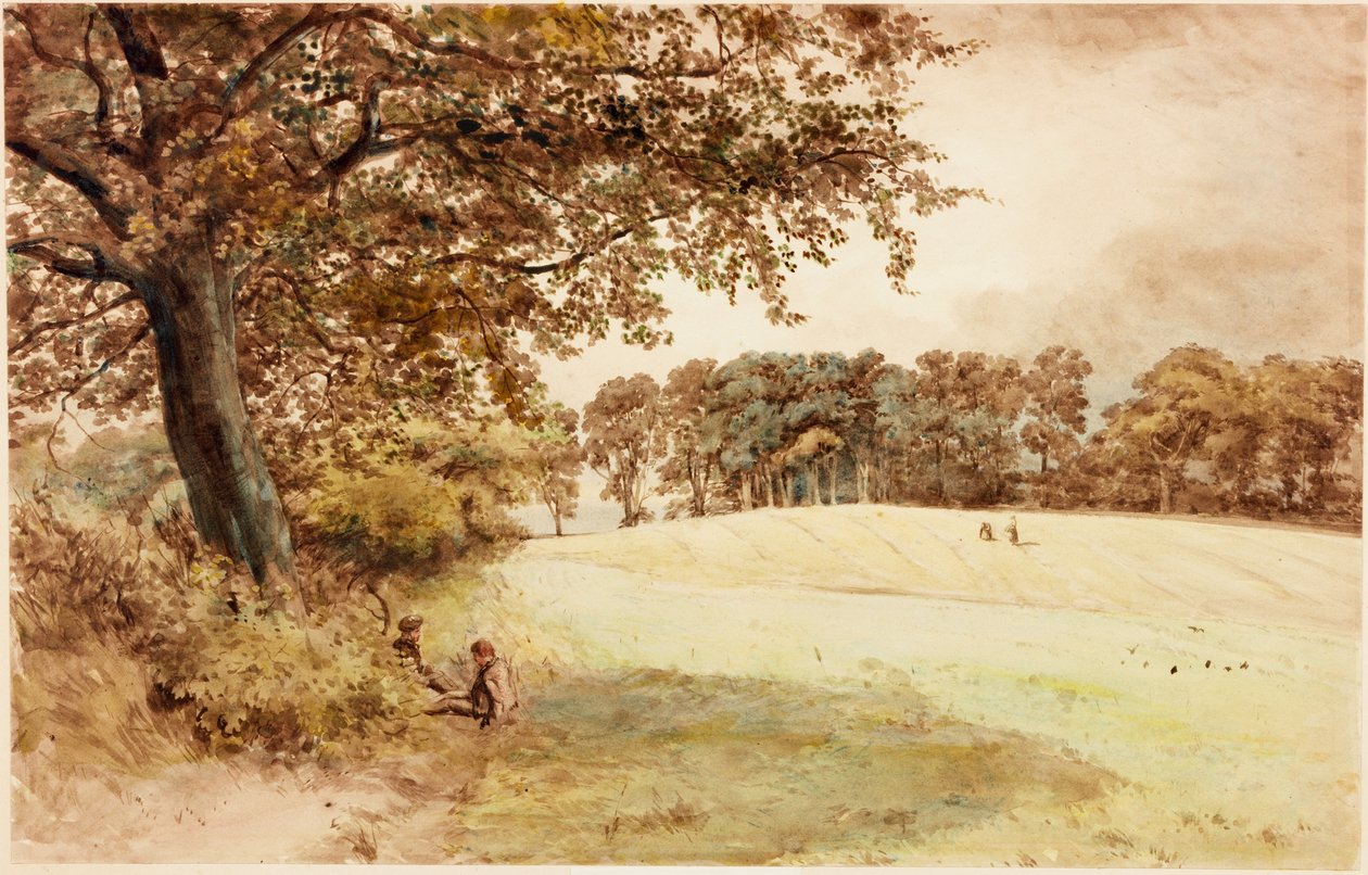 Benwell Hill Top (kolor cielisty) autorstwa Henry Burdon Richardson