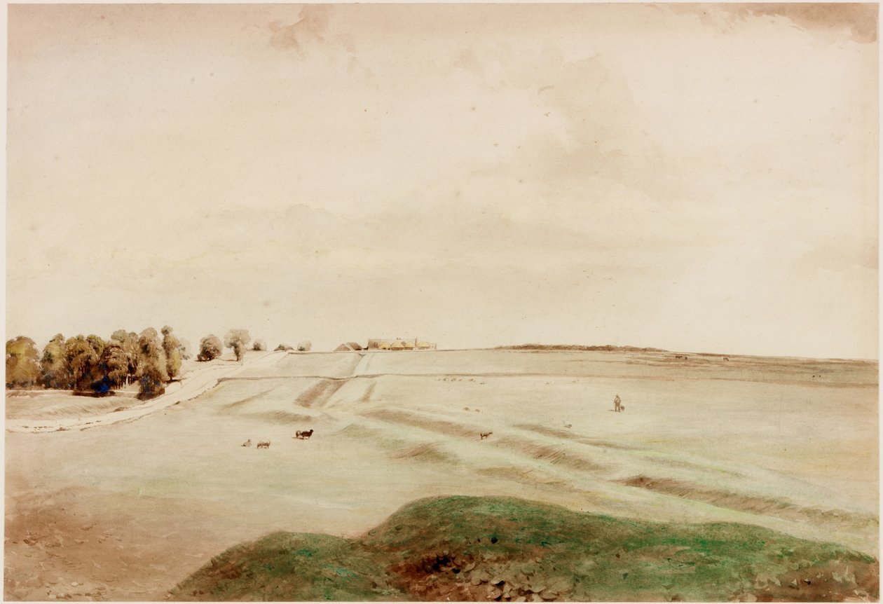 Down Hill, Northumberland (kolor nadwozia) autorstwa Henry Burdon Richardson