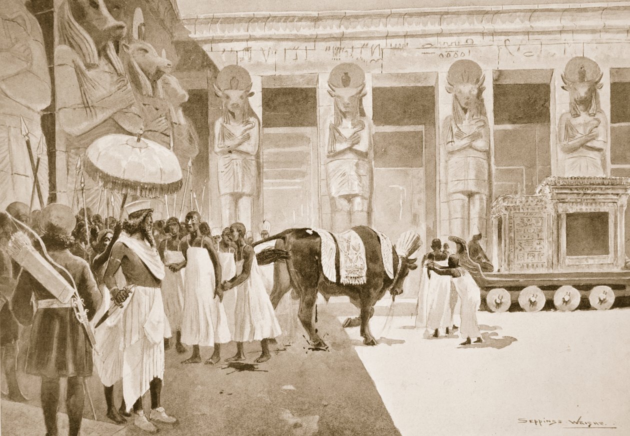 Kambyzes zabija świętego byka, ilustracja z „Hutchinsons History of the Nations”, c.1910 autorstwa Henry Charles Seppings Wright