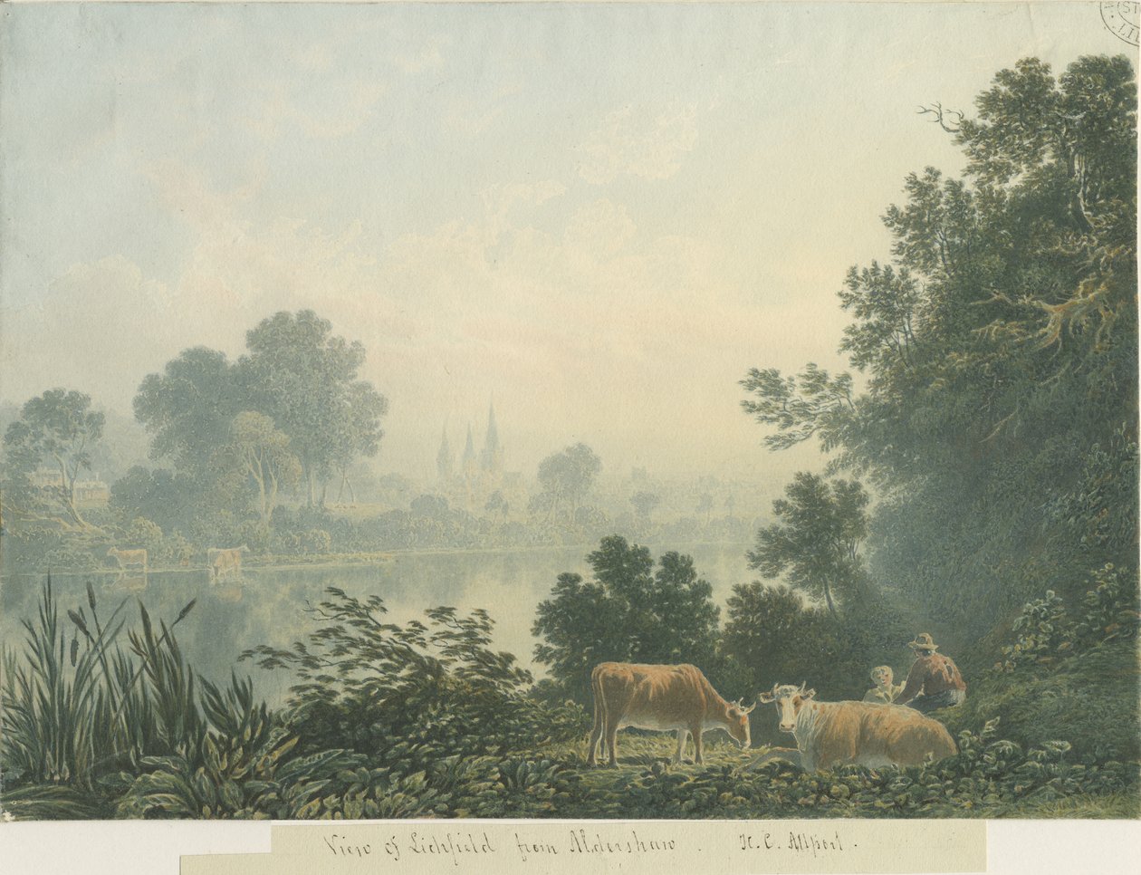 Katedra w Lichfield - Widok z Aldershaw autorstwa Henry Curzon Allport