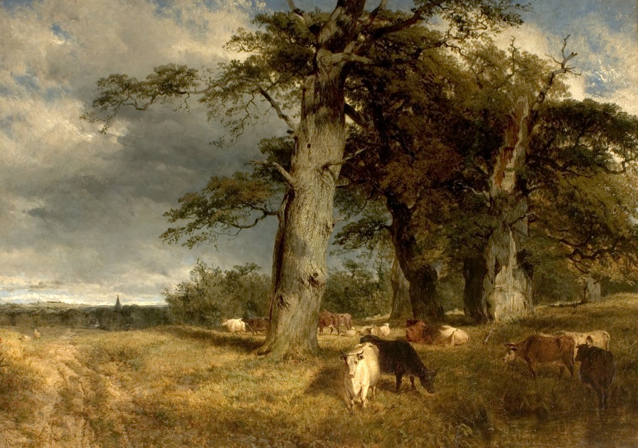 Krajobraz w Dukeries, Nottinghamshire, 1850 autorstwa Henry Dawson