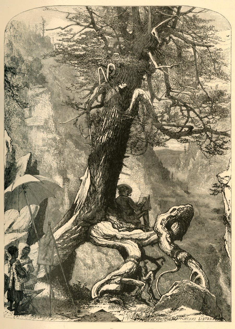 „Powyżej naturalnego mostu”, 1872. autorstwa Henry Duff Linton