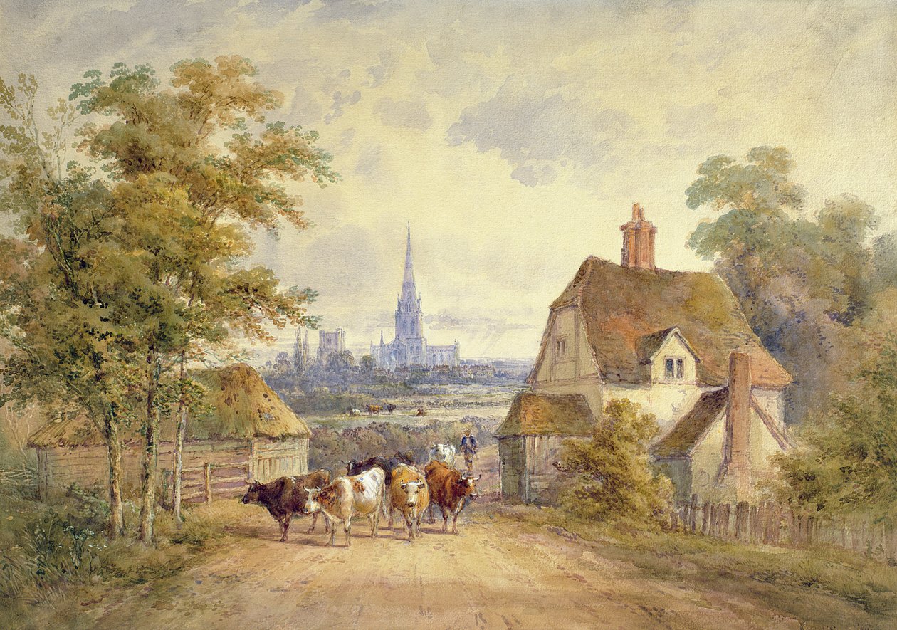 Katedra Chichester, Sussex autorstwa Henry Earp