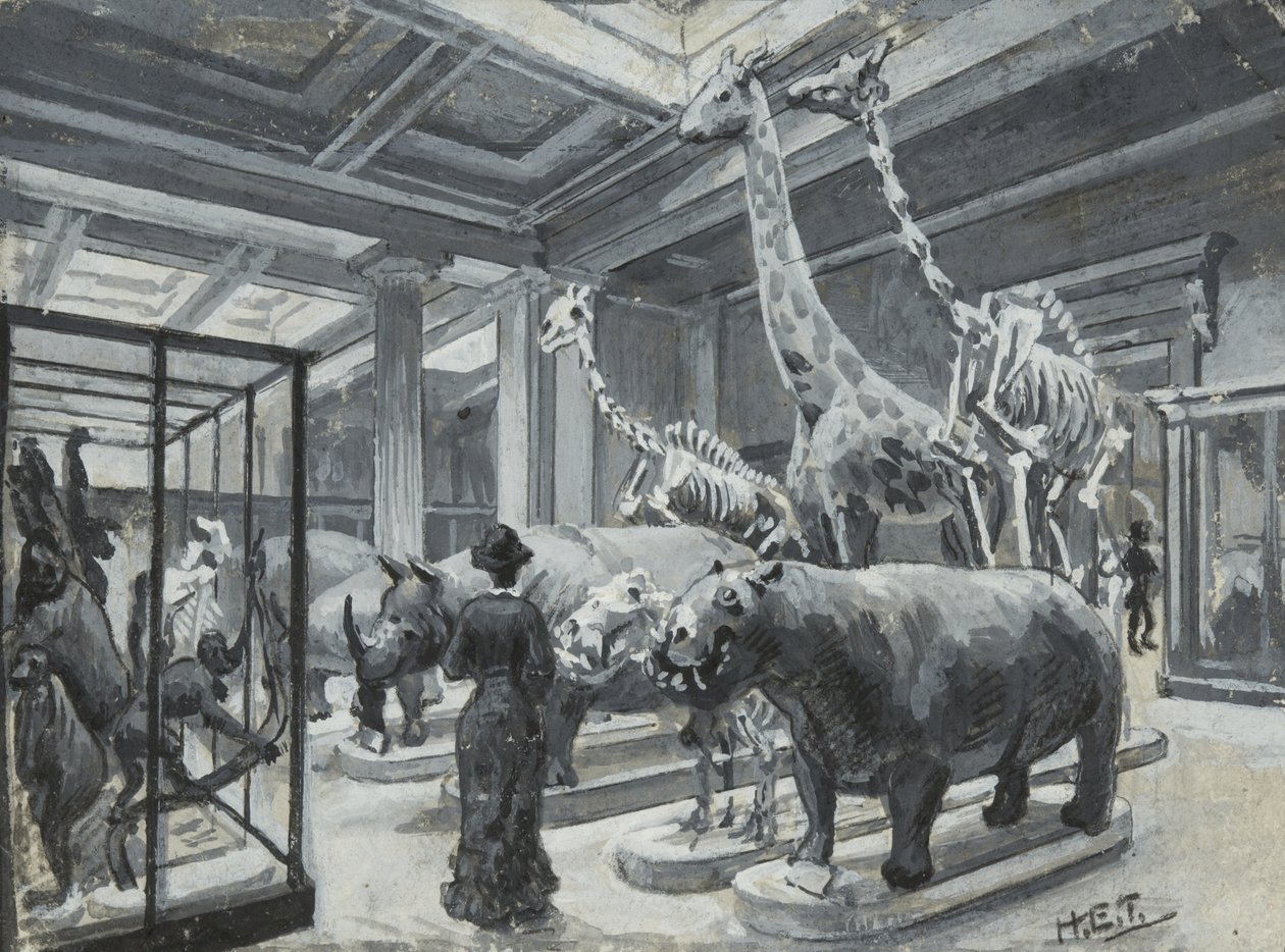 Widok wnętrza Muzeum Brytyjskiego z galerią zawierającą eksponaty zwierząt, ok. 1880 autorstwa Henry Edward Tidmarsh